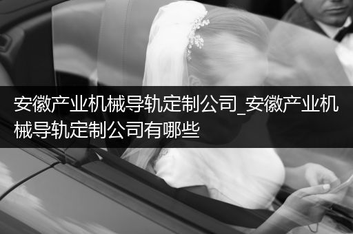 安徽产业机械导轨定制公司_安徽产业机械导轨定制公司有哪些